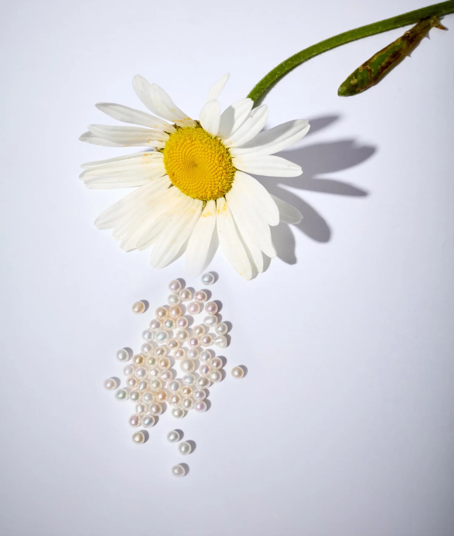 Haziran Charm – İnci